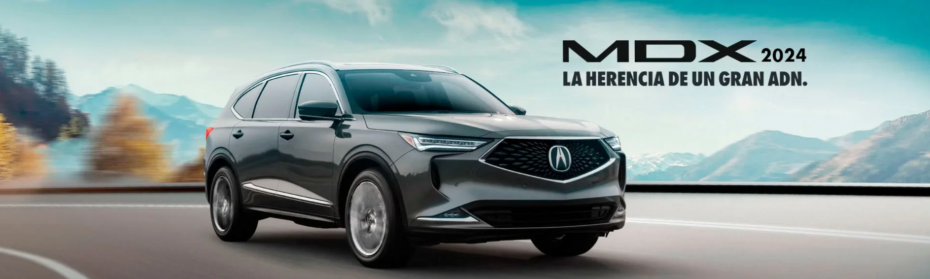 MDX